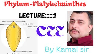 Phylum Platyhelminthes  Cee zoology by Kamal Nepal sir with best note [upl. by Madriene42]