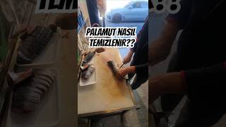 Palamut nasıl temizlenir fishcutting food cuttingskills fish meat satisfying lunch cooking [upl. by Nyltak]