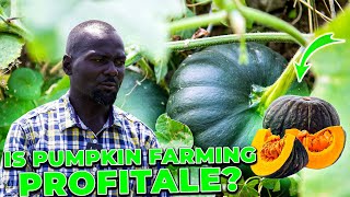 Meet the Pumpkin King How He Earns Millions Growing Giant Pumpkins Every Year [upl. by Paul563]