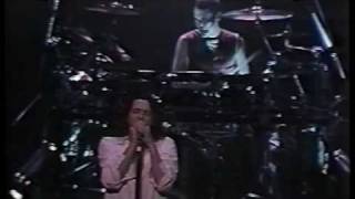 INXS  18  Disappear  Buenos Aires  22nd January 1991 [upl. by Ahsikcin]