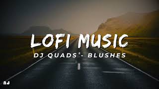 LOFI MUSIC  DJ QUADS  BLUSHES  AJ Non Copyright Music [upl. by Zzabahs]