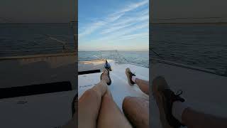 Catamaran Sunset Ocean City Maryland sunsetcruise [upl. by Damian]