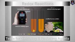 Test for Oxidizing and Reducing Agents  Chemistry Tutorial [upl. by Riebling]