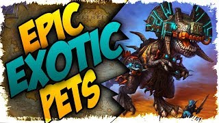 TOP 5 EPIC EXOTIC HUNTER PETS IN BFA [upl. by Notnerb]