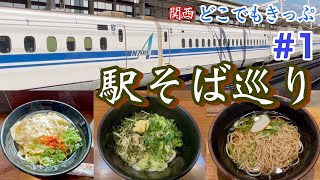 新幹線・特急も乗り放題のお得なきっぷで駅そば巡り「関西どこでもきっぷ」1 [upl. by Ezarras33]