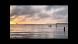 Peaceful morning on the Pamlico River [upl. by Zurciram]