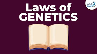 Laws of Genetics  Lesson 5  Dont Memorise [upl. by Sulecram]