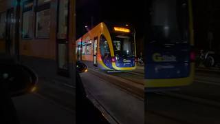 Glink Tram railway train shortsviral lightrail tram [upl. by Kerk580]