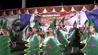 Am the happiest christmas tree song performed by Elim Kids 2013 [upl. by Gnot69]