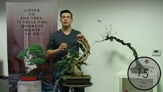 Preserving deadwood on Bonsai Yannick Kiggen [upl. by Phillada]