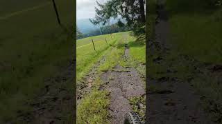 Descente Downhill Bois du Jorat Lausanne 2 switzerland [upl. by Erbas]