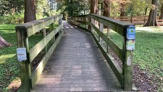 Taking a look at Reelfoot Lake and Tiptonville Tennessee [upl. by Morten]