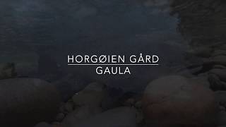 Laksefiske Horgøien 2018 HD [upl. by Mulford309]