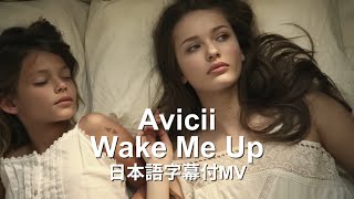 【和訳MV】Avicii  Wake Me Up  アヴィーチー  ウェイク・ミー・アップ [upl. by Fineman825]