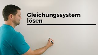 Gleichungssystem lösen mit geteilt durch x oder y LGS Lineares Gleichungssystem [upl. by Rolfston]