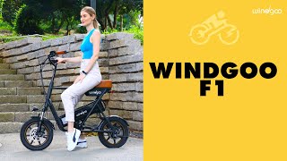 F1 Compact Hybrid E Bike [upl. by Einahpats]