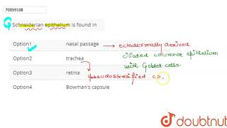 Schneiderian epithelium is found in [upl. by Chapland]