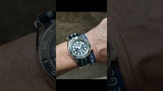 Seiko Marinemaster Professional seiko marinemaster japan divewatch prospex professional [upl. by Pax624]