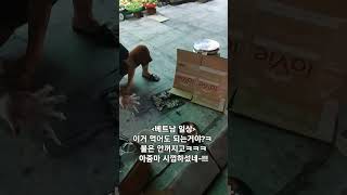 길거리 알콜로 지포굽기 ㅋ 불이안꺼져서 당황하싯아줌니 ㅋ [upl. by Leonerd]