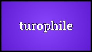 Turophile Meaning [upl. by Pepe712]