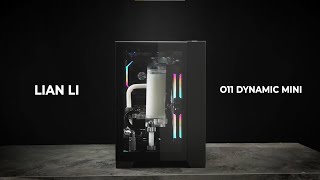 LIAN LI  O11 DYNAMIC MINI Official Video [upl. by Adnohsel]