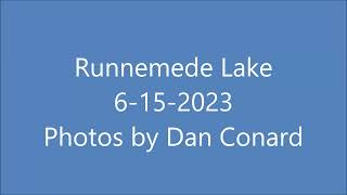 Runnemede Lake Photos June 2023 [upl. by Penelope]