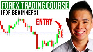 The Ultimate Forex Trading Course For Beginners [upl. by Pruchno]