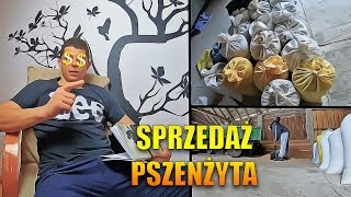 Sprzedaż pszenżyta  wydajność z 2018r AndrzejWielkiR [upl. by Anwahsak]