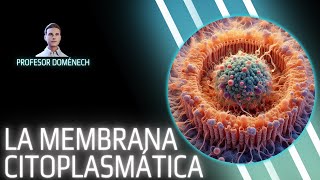 MEMBRANA CITOPLASMÁTICA bacteriana en 5 min [upl. by Omixam]