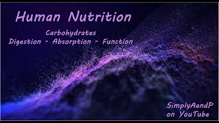 Carbohydrates  Digestion Absorption and Function [upl. by Pail]