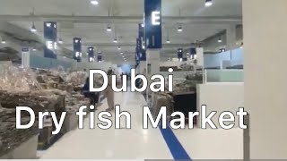 Dry fish Market in dubai Waterfront Market Deira Dubai [upl. by Emmanuel770]