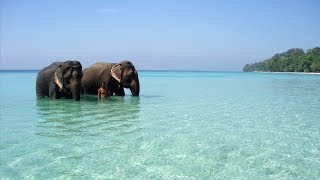 Andaman Honeymoon Packages  Andaman and Nicobar Islands  Antilog Vacations [upl. by Dalis]