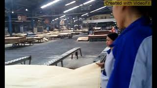 kerja 12 jam berdiri terus  beginilah kerja di pabrikkilang plywood malaysia [upl. by Reena]