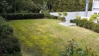 How to treat a lawn that is heavy with moss [upl. by Grubman889]