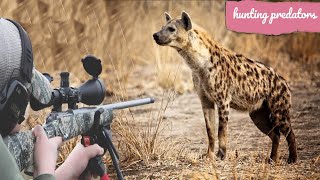 Hunting African hyenas with guns [upl. by Nylarac736]