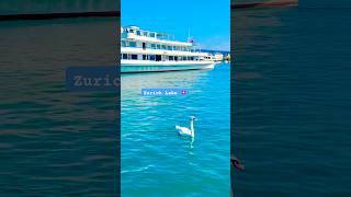 Zurich Lake Switzerland 🇨🇭Beautiful shortsfeed travel zürichsee explorezurich [upl. by Rodrick395]