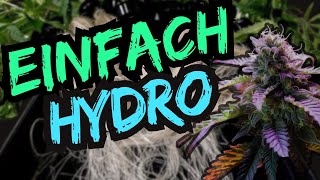 How to grow Hydro NFT  Was du benötigst amp wissen solltest [upl. by Einyaj]