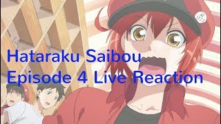 Hataraku Saibou Episode 4 Live Reaction [upl. by Atinus]