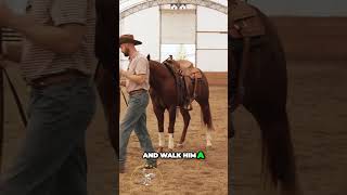 Reining Masterclass has everything All those little tips to keep you safe [upl. by Ardnasak]