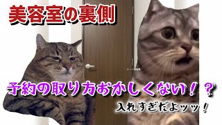 美容室で雇われてた時の話part1【猫ミーム】【猫マニ】 [upl. by Oliana]