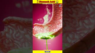 How Strong Is Stomach Acid 😨 shorts youtubeshorts stomach stomachacid acid [upl. by Aivax]