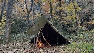 Solo Camping Overnight in the Autumn Leaves Forest  Polish canvas poncho  Bushcraft [upl. by Keese314]