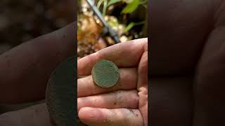 1909 Canadian Large Cent  Minelab Manticore Metal Detecting metaldetecting minelab manticore [upl. by Annairb]