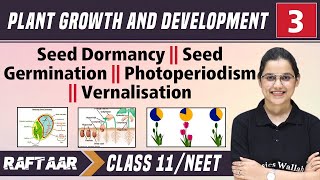 Plant Growth and Development 03  Seed Dormancy  Seed Germination  Class11NEET RAFTAAR [upl. by Sillihp546]