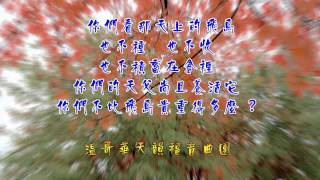 福音粵曲 頌讚神恩 伴奏 溫哥華天韻福音粵曲團 [upl. by Juanita]