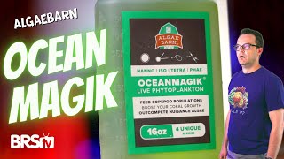 LIVE Phytoplankton to Keep Your Reef Tank Happy amp Healthy AlgaeBarn OceanMagik [upl. by Philipines]