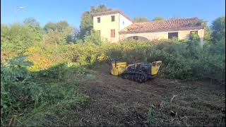 Disboscamento di area incolta con Robogreen Energreen  Verdest srl [upl. by Reichel776]