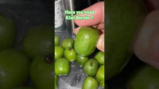 Have you tried Kiwi Berries  kiwiberries kiwiberry [upl. by Aneehsyt]