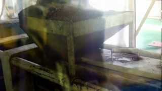 Palm kernel Expeller Machine [upl. by Kissie]