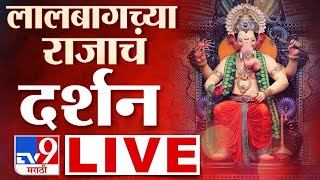 Lalbaugcha Raja LIVE  लालबागच्या राजाचे दर्शन लाईव्ह  Mumbai Ganeshotsav 2024  tv9 marathi live [upl. by Lebatsirhc]